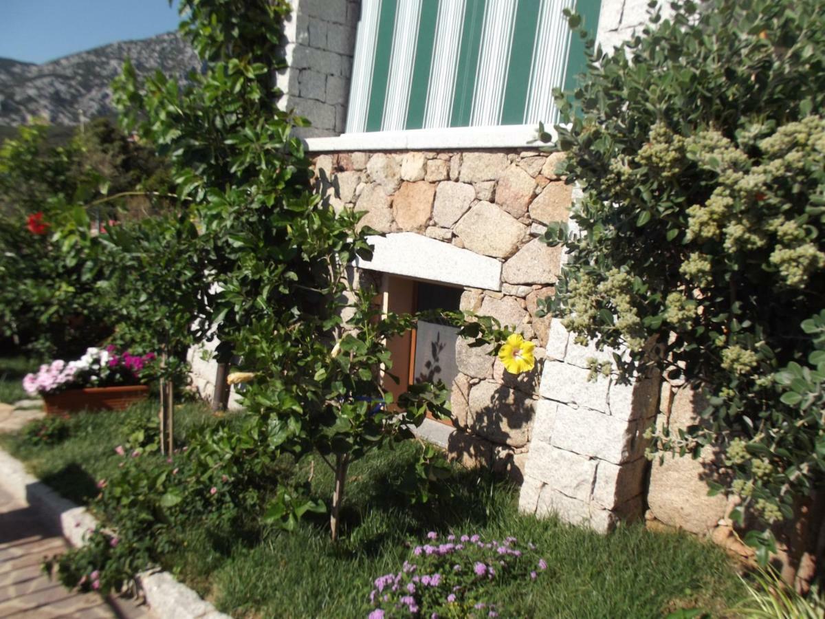 Casa Elena Apartment Cala Gonone Exterior photo